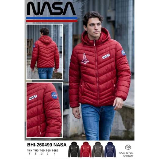 NASA BHI260499 NASA